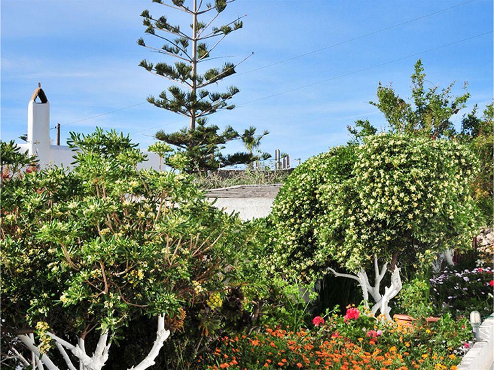 Dimitra Pension Mykonos Town Exterior foto